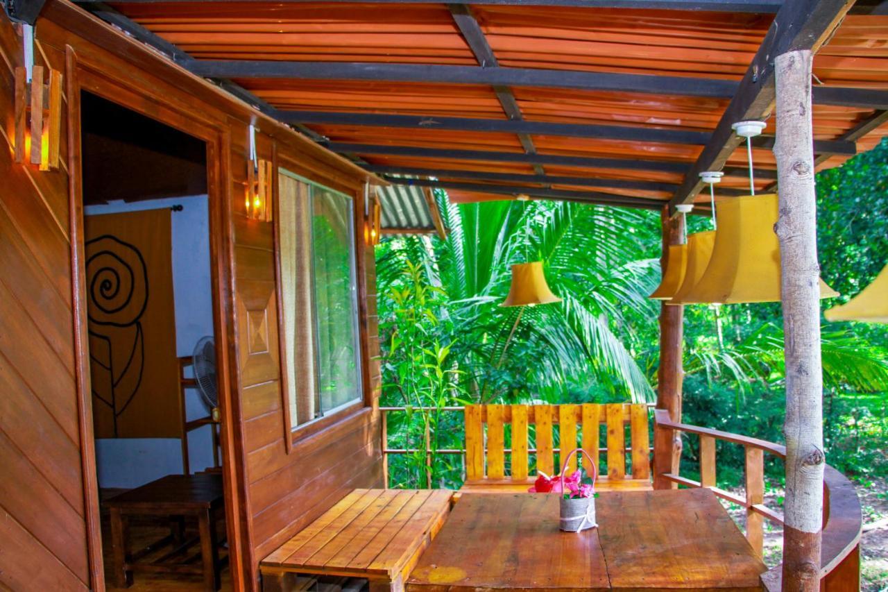 Experience The Comforts Of An Amazing Treehouse Sigirîya Extérieur photo