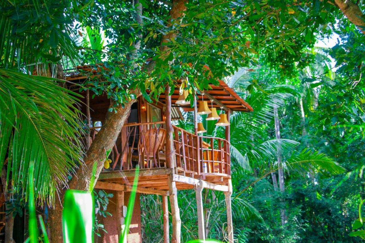 Experience The Comforts Of An Amazing Treehouse Sigirîya Extérieur photo